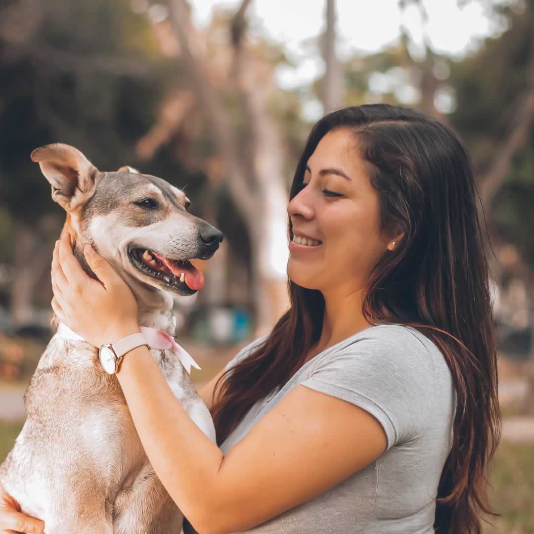 A woman in a gray shirt holding her dog of mixed breed.