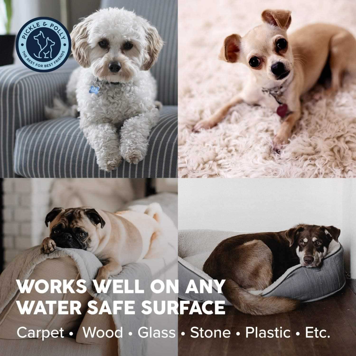 A collage of pictures of various dogs sitting around the house. The text reads, "Works Well on Any Water Safe Surface, Carpet, Wood, Glass, Stone, Plastic, etc."