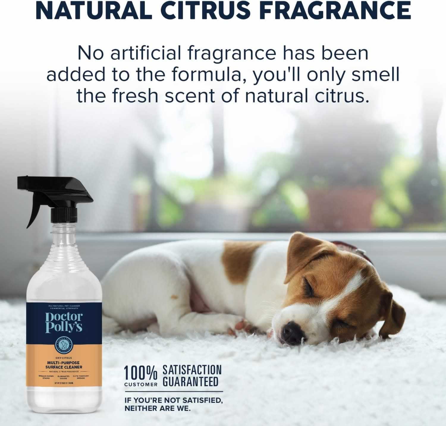 A puppy sleeping on a bed with a bottle of Dr. Polly's Oxy All Purpose Cleaner in the foreground. The text reads, "Natural Citrus Fragrance. No artificial fragrance has been added to this formula, you'll only smell the fresh scent of natural citrus. 100% customer satisfaction guaranteed. If you're not satisfied, neither are we."