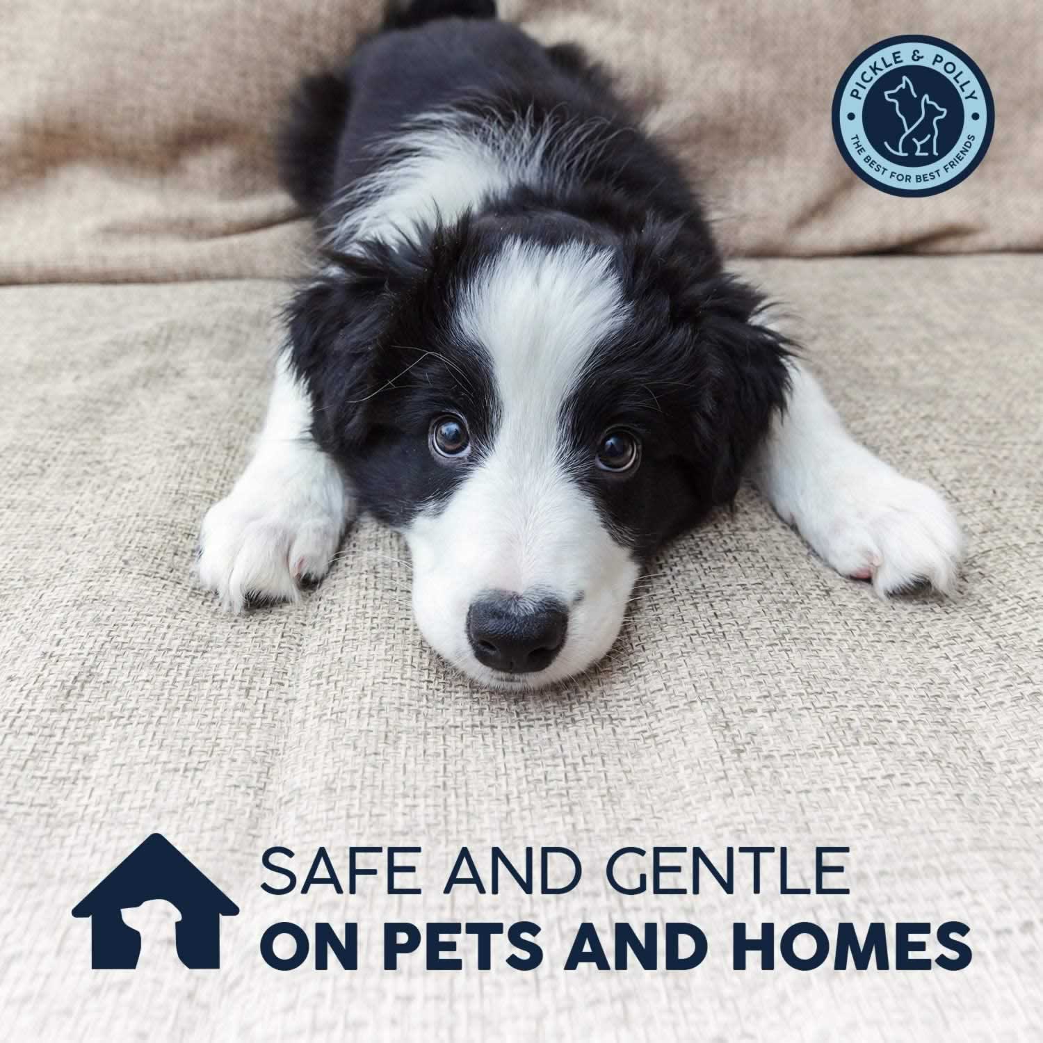A white and black puppy laying on a couch. The text reads, "Safe and Gentle on Pets and Homes."