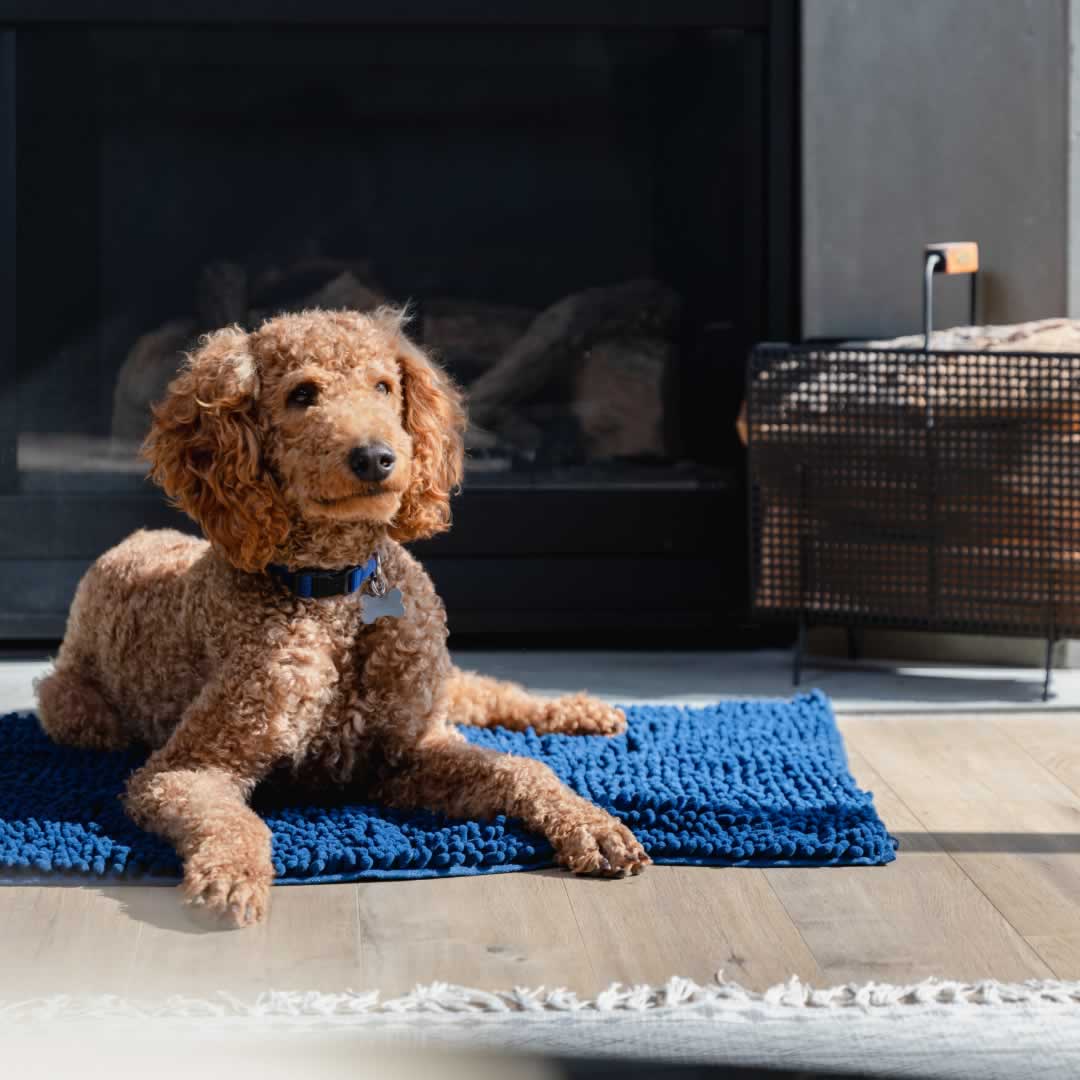 Labradoodle dog lying on a Pickle & Polly Microfiber Pet Mat in front of a fireplace.