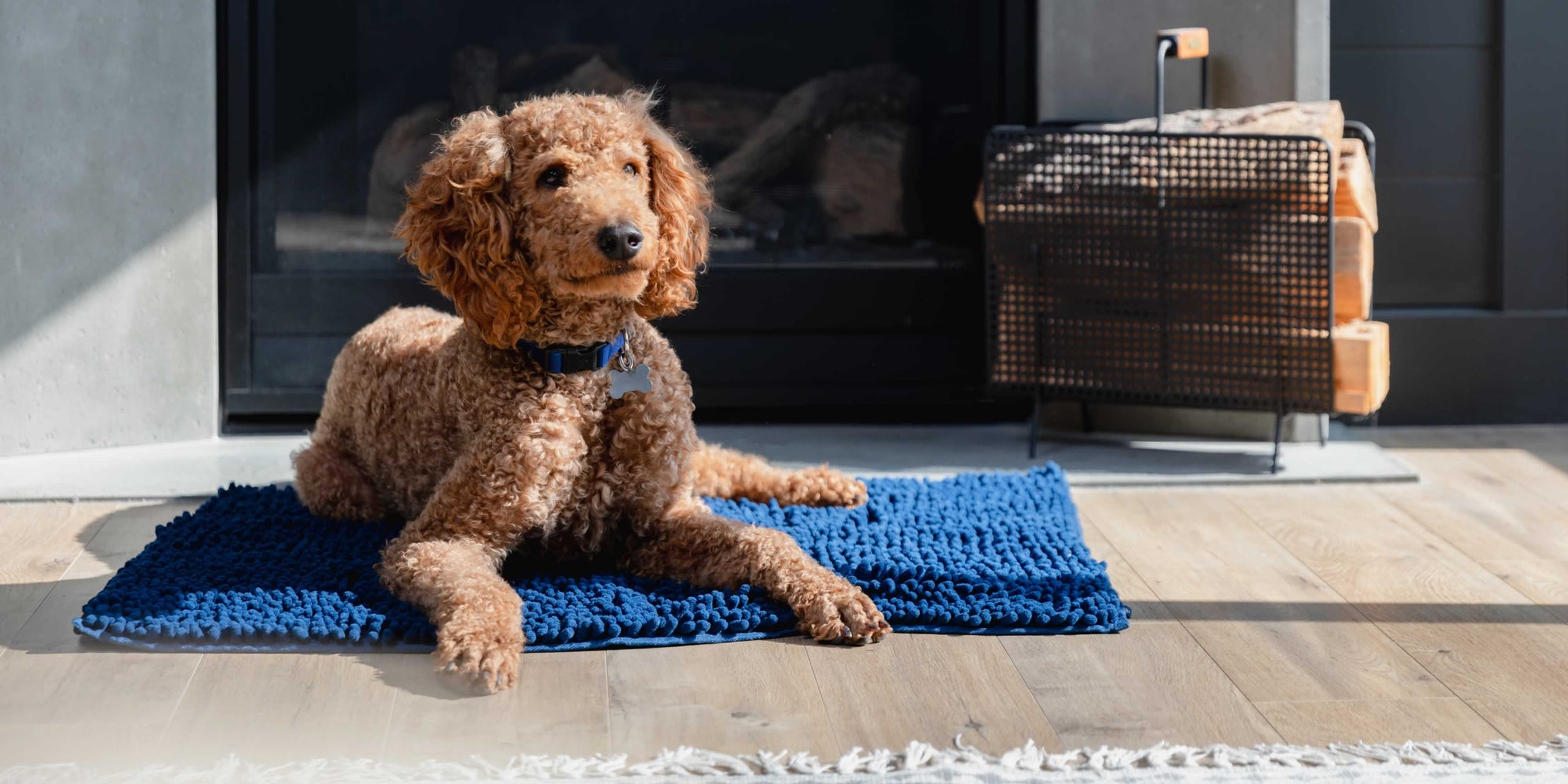 Labradoodle dog lying on a Pickle & Polly Microfiber Pet Mat in front of a fireplace.