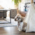 Lhasa Apso dog sitting in a Pickle & Polly Pet Teepee Bed in a living room.