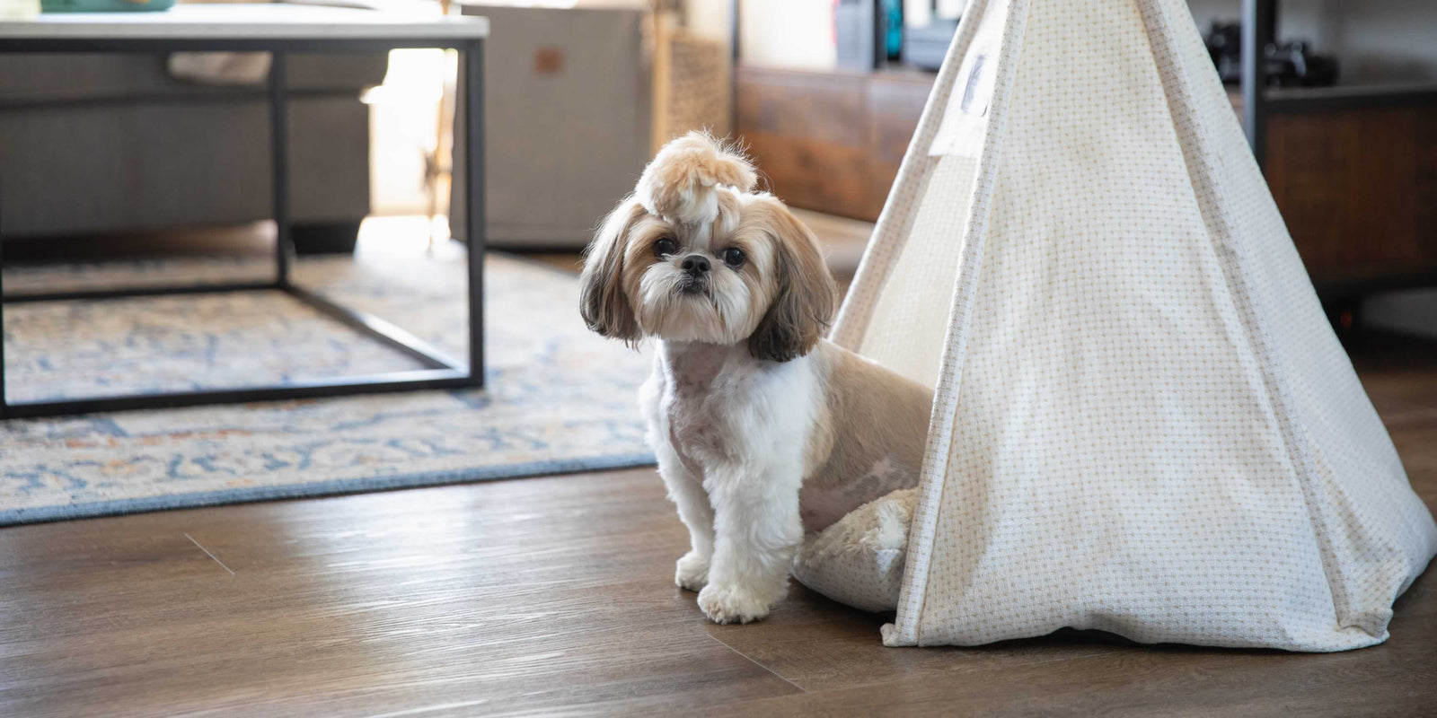 Lhasa Apso dog sitting in a Pickle & Polly Pet Teepee Bed in a living room.