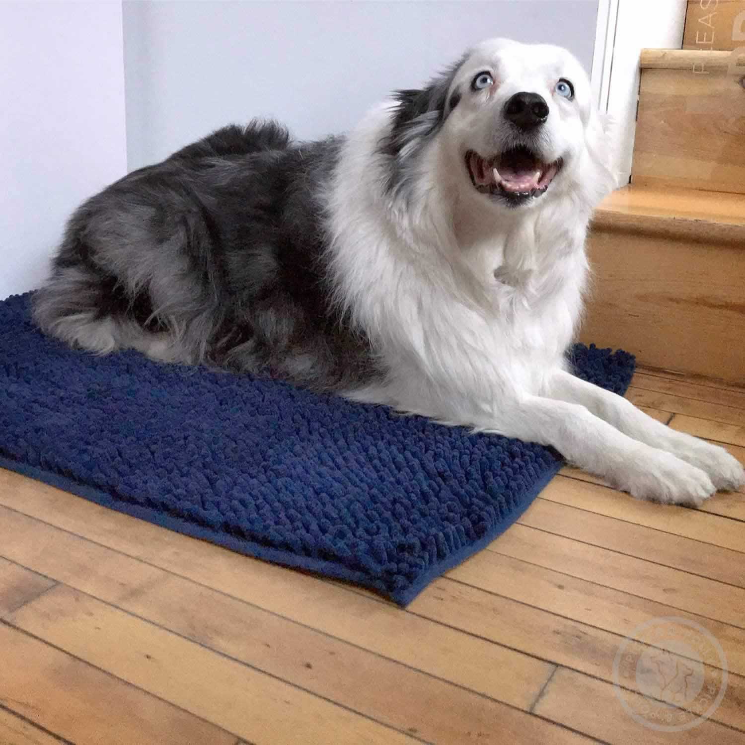 A happy dog laying on a Pickle & Polly Microfiber Pet Mat.