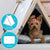 A Yorkie dog sitting in a Pickle & Polly Pet Tent (Gray). The tent measures 18 inches wide by 17 inches long at the base with a 21 inch frame. The removable cushion measures 15 inches wide by 19 inches long.