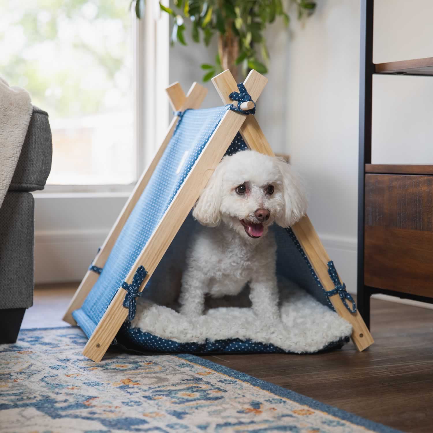 A dog sitting in a Pickle & Polly Pet Tent.