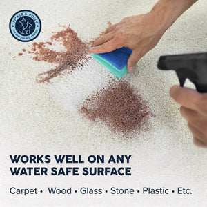 A stain being cleaned by Dr. Polly's Stain & Odor Remover. The text reads, "Works Well on Any Water Safe Surface. Carpet, Wood, Glass, Stone, Plastic, etc."