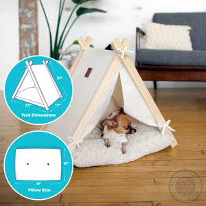 A Chihauhau dog sitting in a Pickle & Polly Pet Tent (White). The tent measures 18 inches wide by 17 inches long at the base with a 21 inch frame. The removable cushion measures 15 inches wide by 19 inches long.